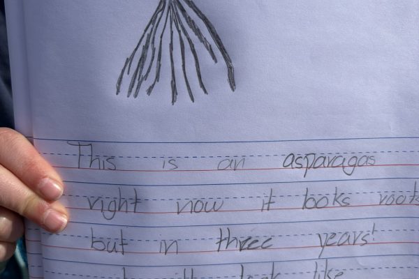 Nature Journal.