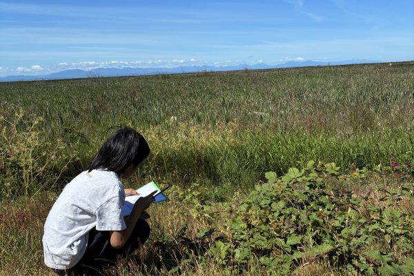 Sit spot & nature journalling at Terra Nova Park - making connections between plants, animals, and the Fraser River.