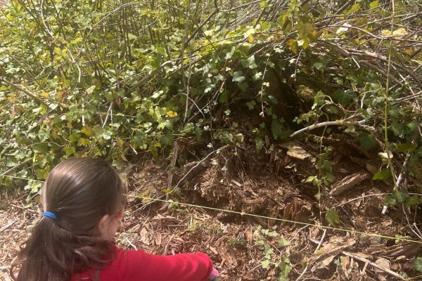 Learners from the Be a Good Ancestor Club participating in English ivy removal and land restoration.